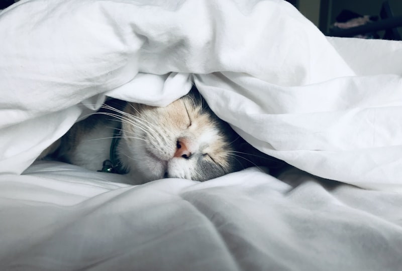 夜中に目が覚める原因と今夜から試せる対策7選【睡眠専門ライター監修】